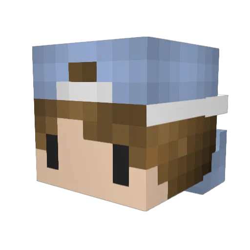 Jit_ Minecraft avatar head, 3D render
