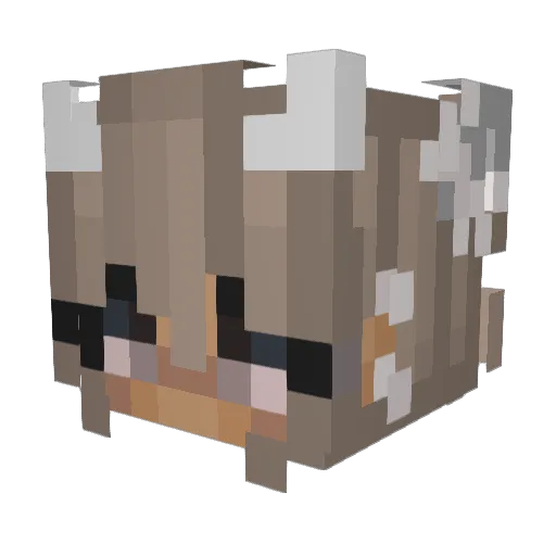 Jitse Minecraft avatar head, 3D render