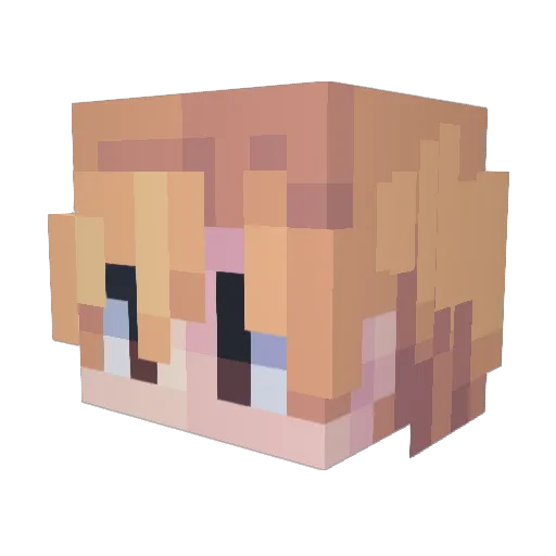 Jitsuseki Minecraft avatar head, 3D render