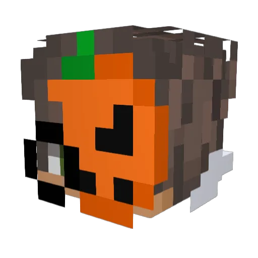 JitterBrige Minecraft avatar head, 3D render