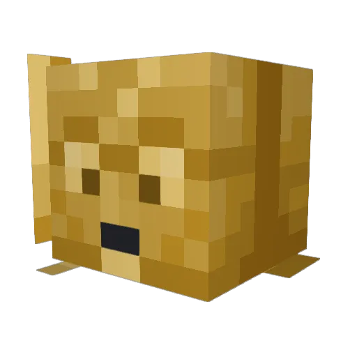 JitterClick16 Minecraft avatar head, 3D render