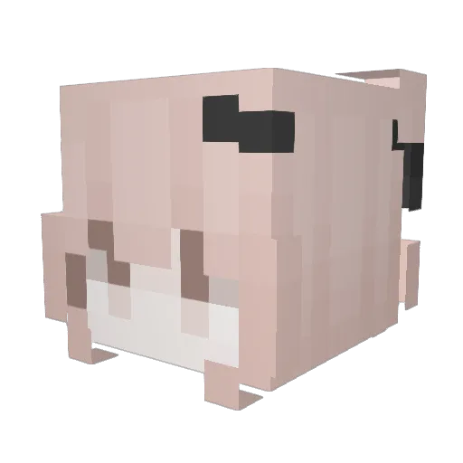 JitteryPine8714 Minecraft avatar head, 3D render