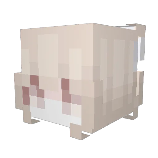 JiuHu298 Minecraft avatar head, 3D render