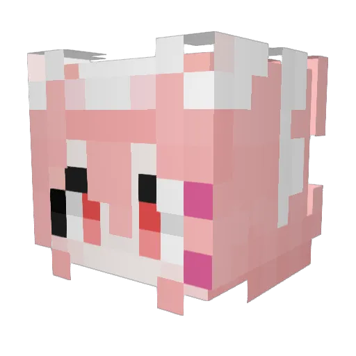 Jiu___Xi Minecraft avatar head, 3D render