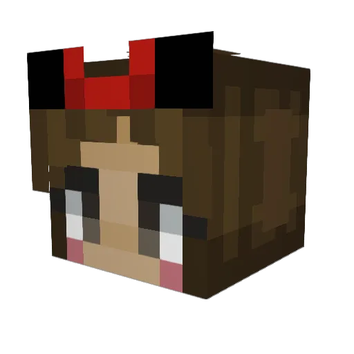 JiveTurkeyJT Minecraft avatar head, 3D render
