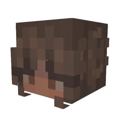 Jivxn Minecraft avatar head, 3D render