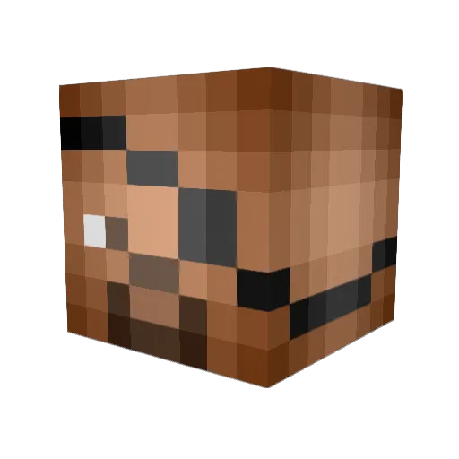 Jixjax Minecraft avatar head, 3D render