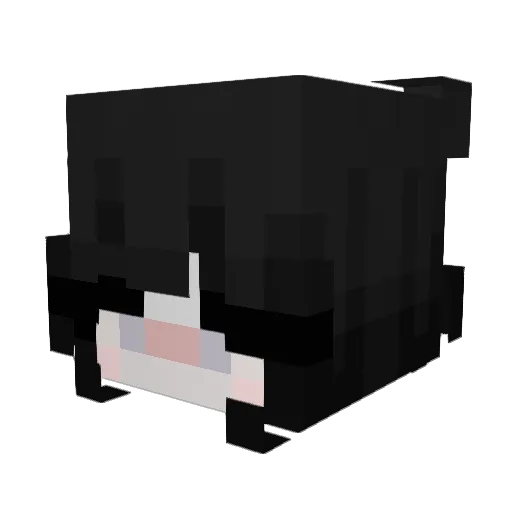Jixxu Minecraft avatar head, 3D render