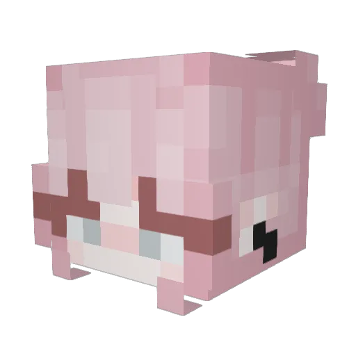 Jiyi2003 Minecraft avatar head, 3D render