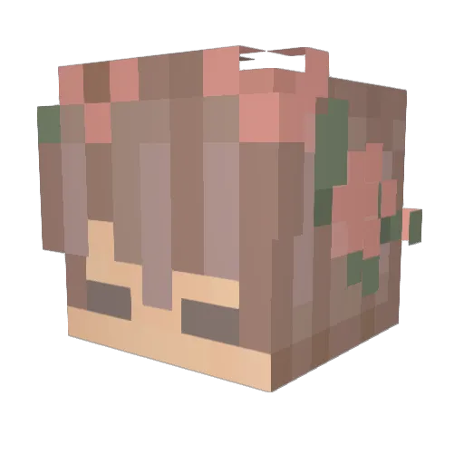 Jjmboni503 Minecraft avatar head, 3D render