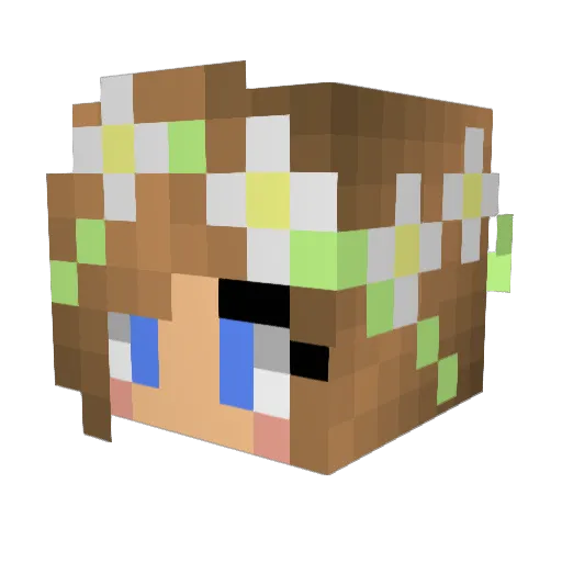 Jjulia2233 Minecraft avatar head, 3D render