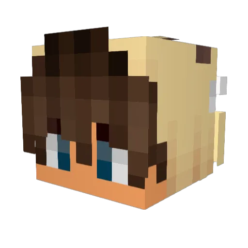 Jjunbii Minecraft avatar head, 3D render