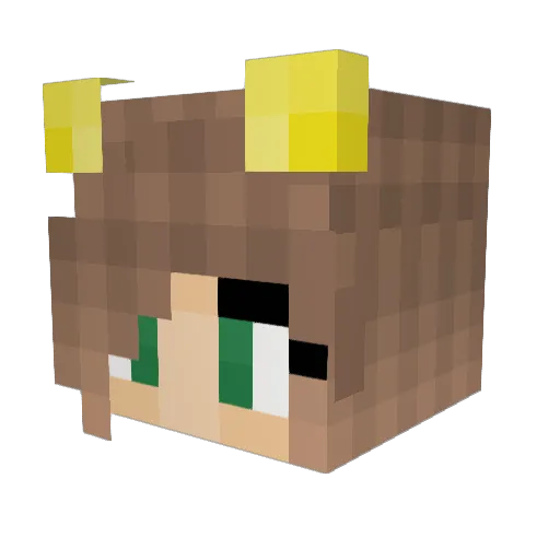 Jkangel150 Minecraft avatar head, 3D render