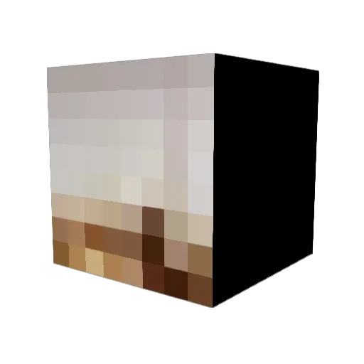 Jkiller1446 Minecraft avatar head, 3D render
