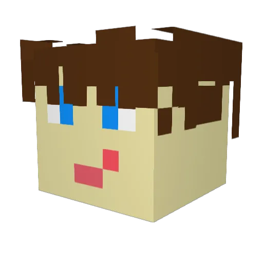 Jleev77 Minecraft avatar head, 3D render