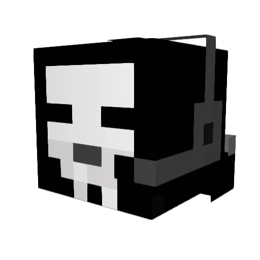 Jllogan18 Minecraft avatar head, 3D render