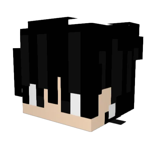Jlsh07 Minecraft avatar head, 3D render