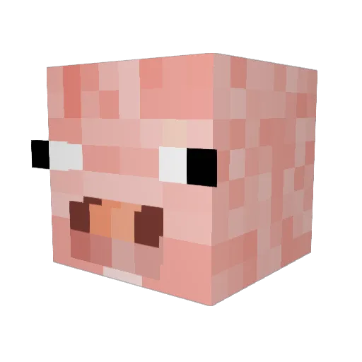 Jm9On99 Minecraft avatar head, 3D render