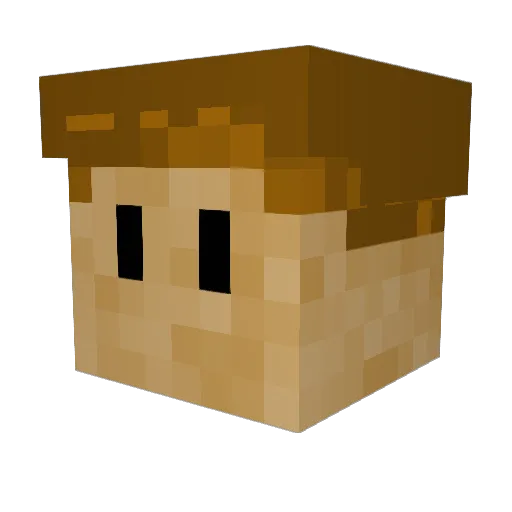 Jmac8065 Minecraft avatar head, 3D render