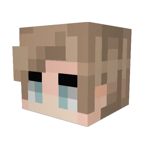 Jmakara95 Minecraft avatar head, 3D render