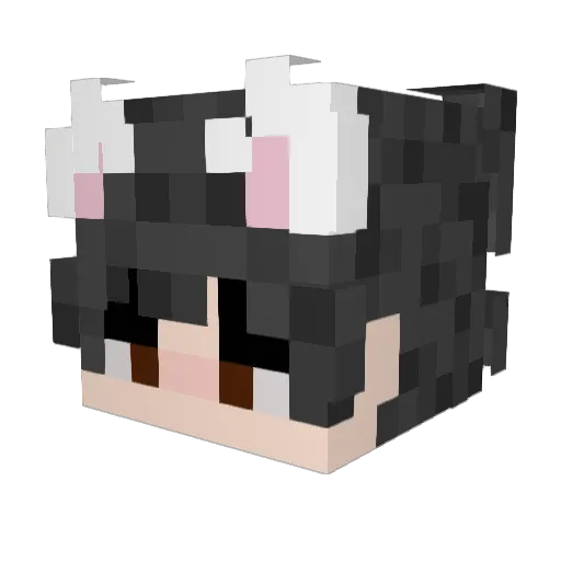 Jmanp Minecraft avatar head, 3D render