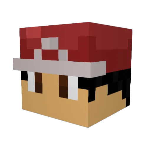 Jmayzle Minecraft avatar head, 3D render