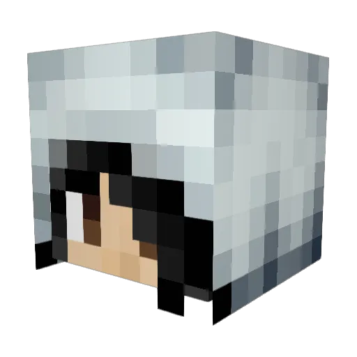 Jmo245 Minecraft avatar head, 3D render