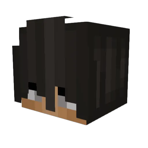 Jmor19 Minecraft avatar head, 3D render