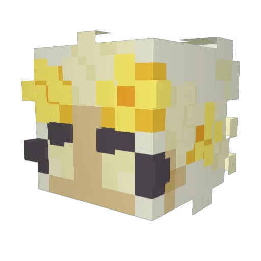 Jmotinka Minecraft avatar head, 3D render