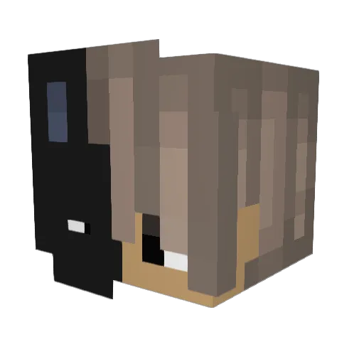 Jn4rs Minecraft avatar head, 3D render