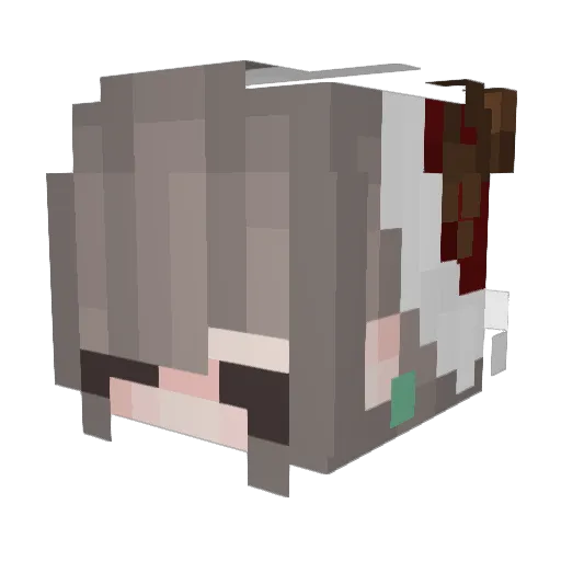 Jn5K Minecraft avatar head, 3D render