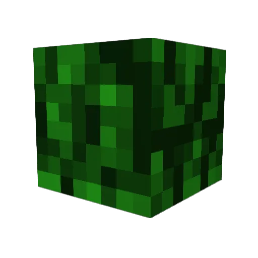 Jnas_ Minecraft avatar head, 3D render