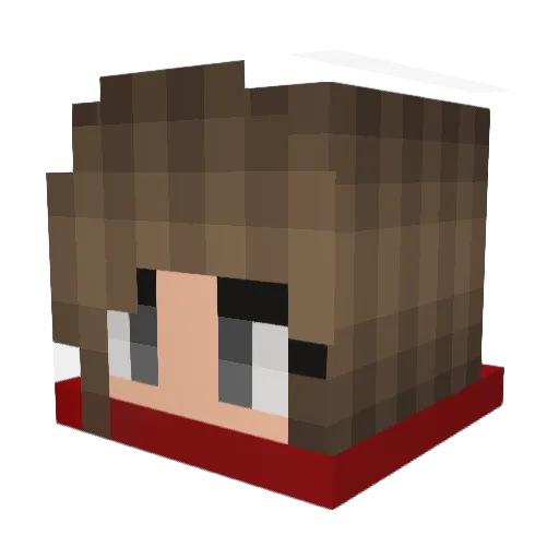 Jnicole_54 Minecraft avatar head, 3D render