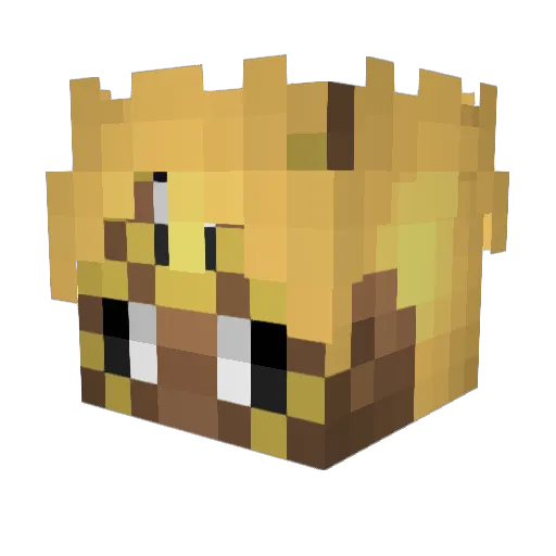 Jnmbaaa Minecraft avatar head, 3D render