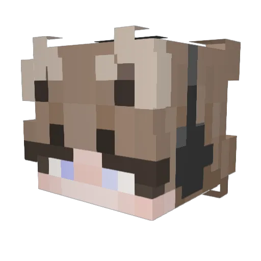 Jnoah21 Minecraft avatar head, 3D render