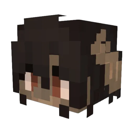 Jnuebug Minecraft avatar head, 3D render