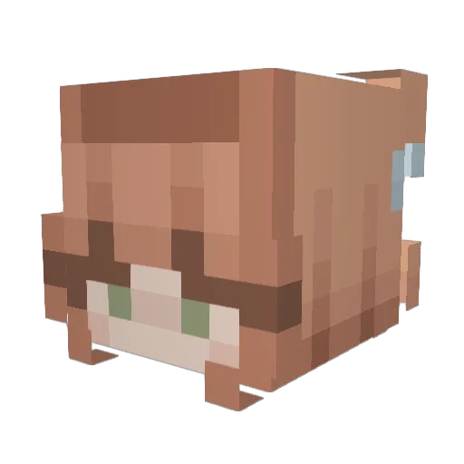 JoCoLi Minecraft avatar head, 3D render
