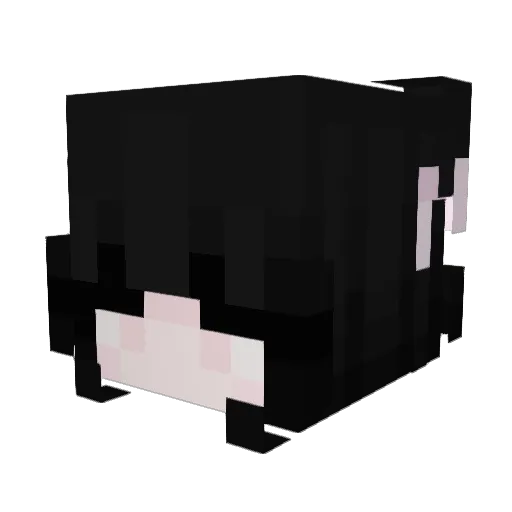 JoCra13 Minecraft avatar head, 3D render