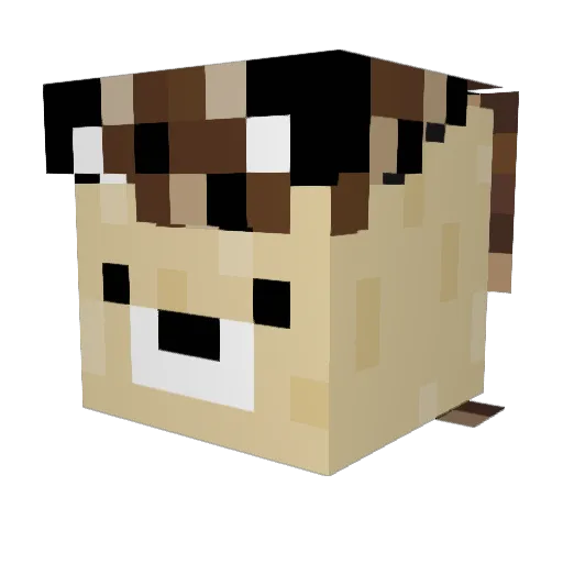 JoHe2109 Minecraft avatar head, 3D render