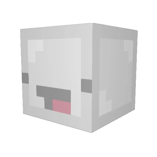 JoJaYaC Minecraft avatar head, 3D render