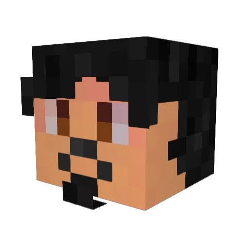 JoJinzzang Minecraft avatar head, 3D render