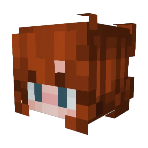 JoJoBoat Minecraft avatar head, 3D render