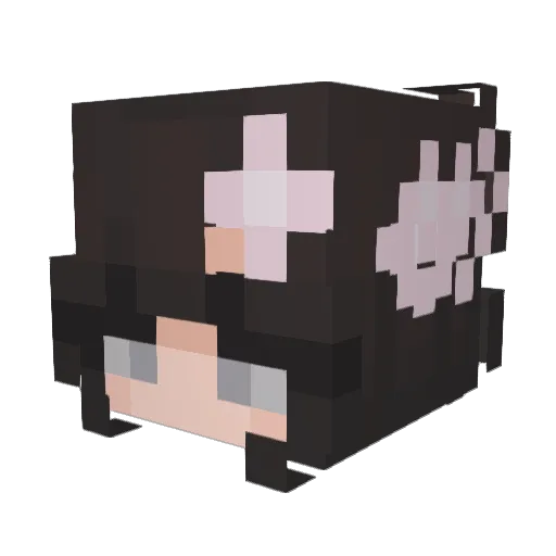 JoKnight Minecraft avatar head, 3D render