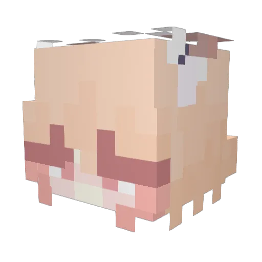 JoLjok13 Minecraft avatar head, 3D render