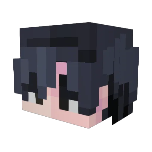 JoMoh300 Minecraft avatar head, 3D render