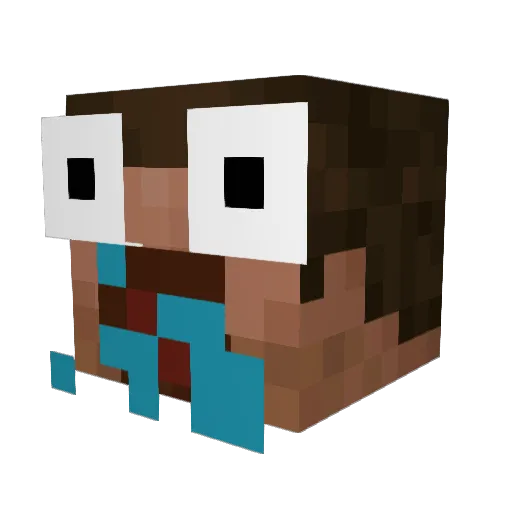 JoPe1108 Minecraft avatar head, 3D render