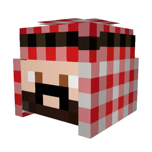 Jo_D99 Minecraft avatar head, 3D render