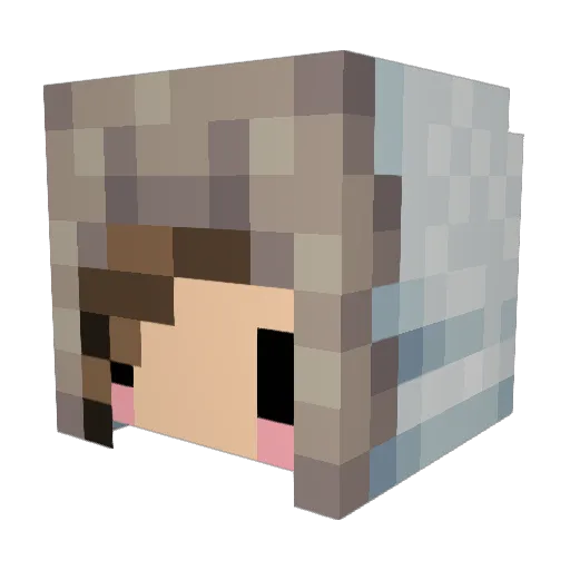 Jo_Force Minecraft avatar head, 3D render