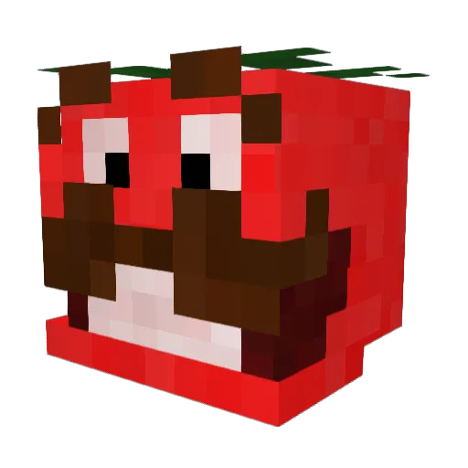 JoaKoPR Minecraft avatar head, 3D render