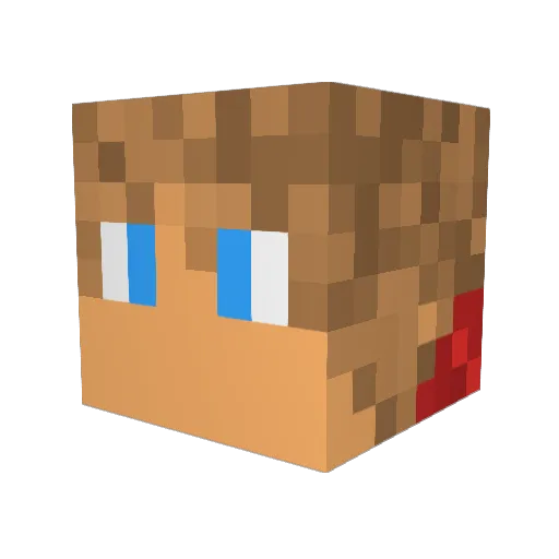 Joa_sss Minecraft avatar head, 3D render